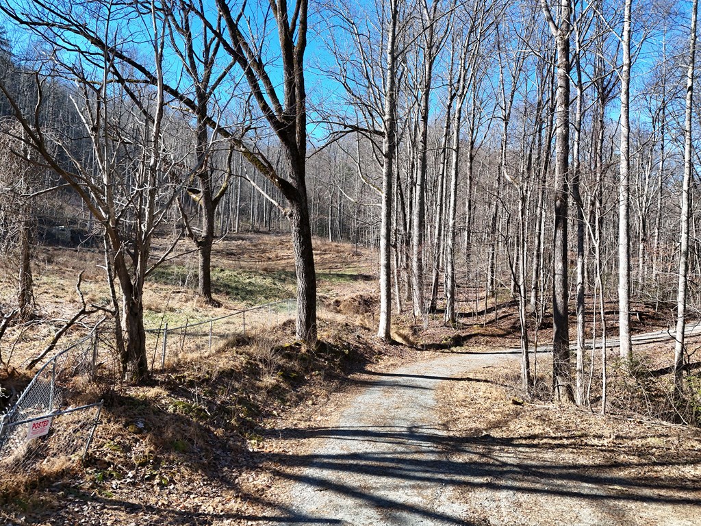 462 Eagle Fork Terrace