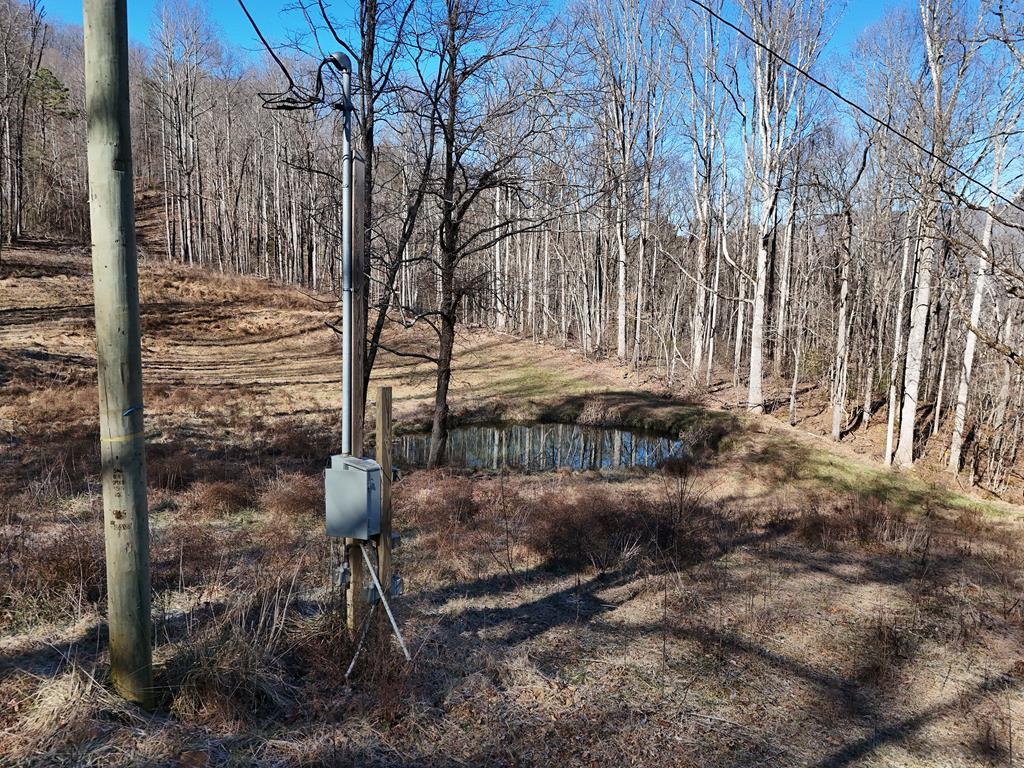 462 Eagle Fork Terrace