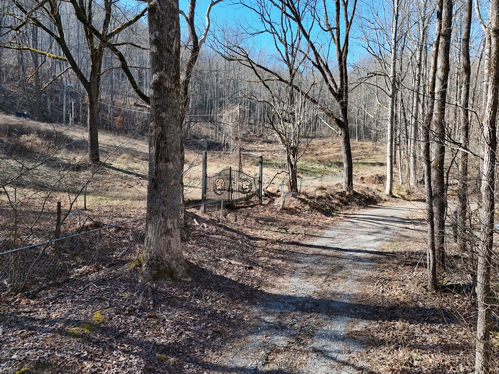 462 Eagle Fork Terrace