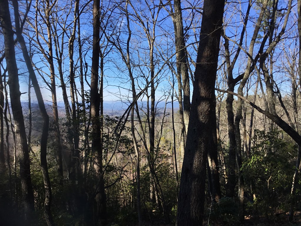 0 Winchester Creek