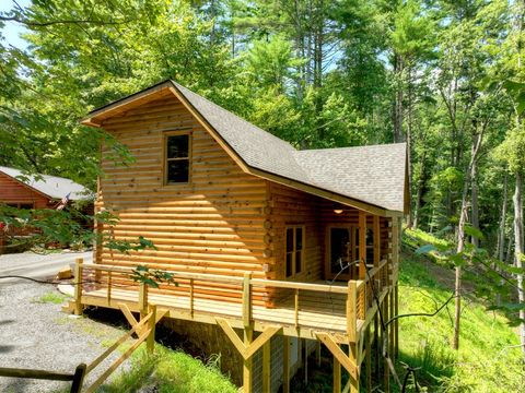 A home in Blue Ridge