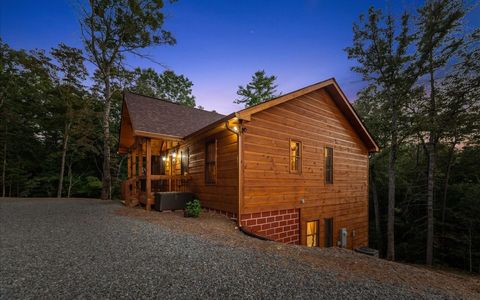 A home in Mineral Bluff