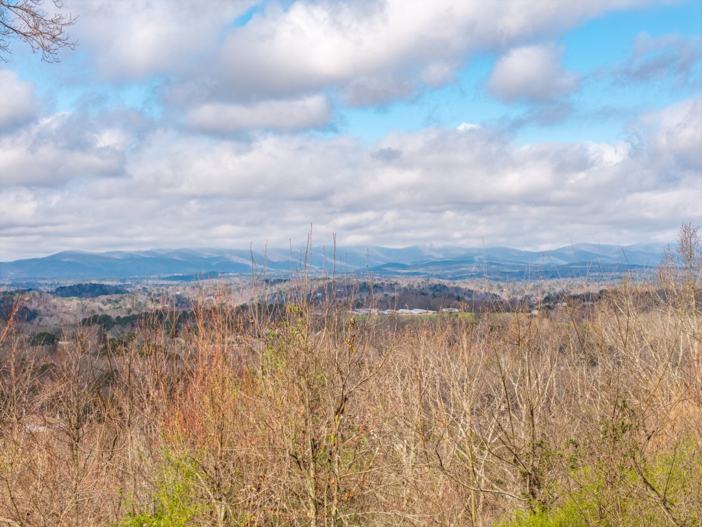 624 Talona Mountain Road