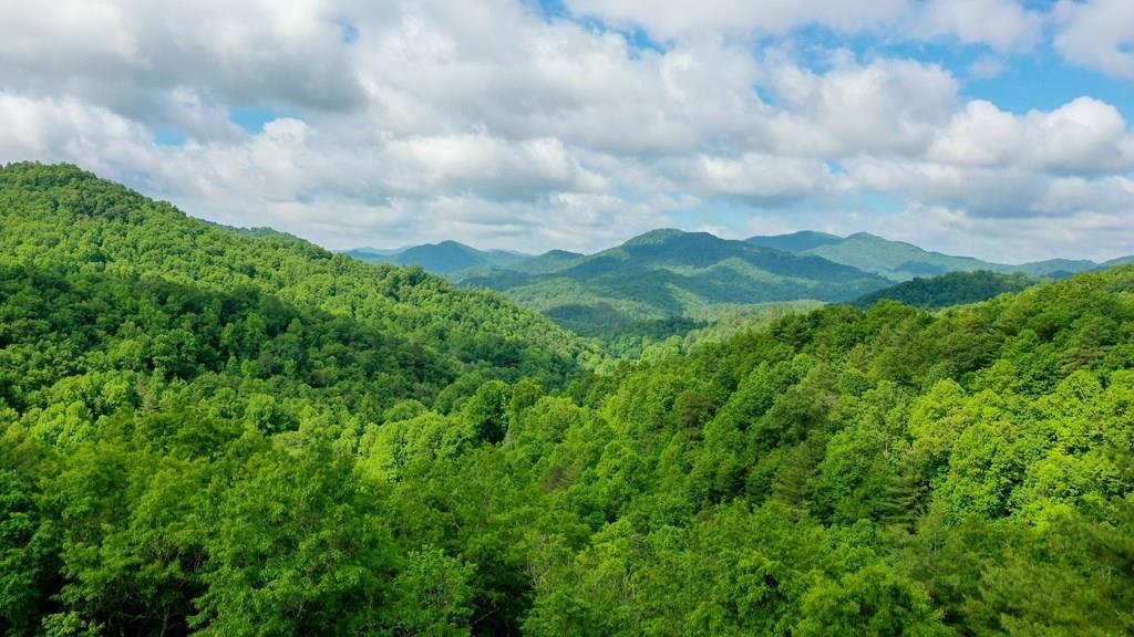 1515 Briartown Church Road