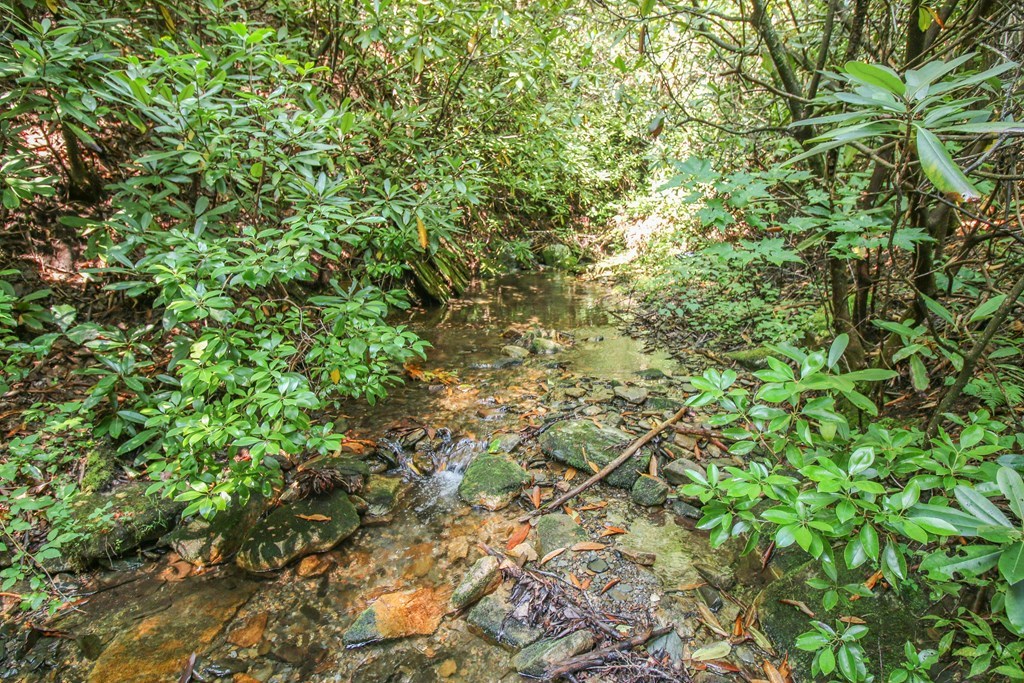 1515 Briartown Church Road