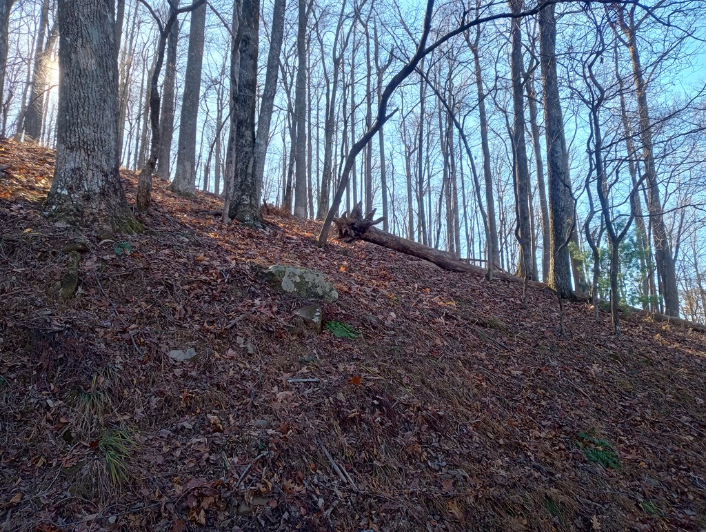 LT M214 Walnut Ridge