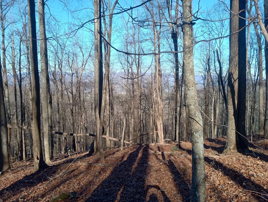 LT M214 Walnut Ridge