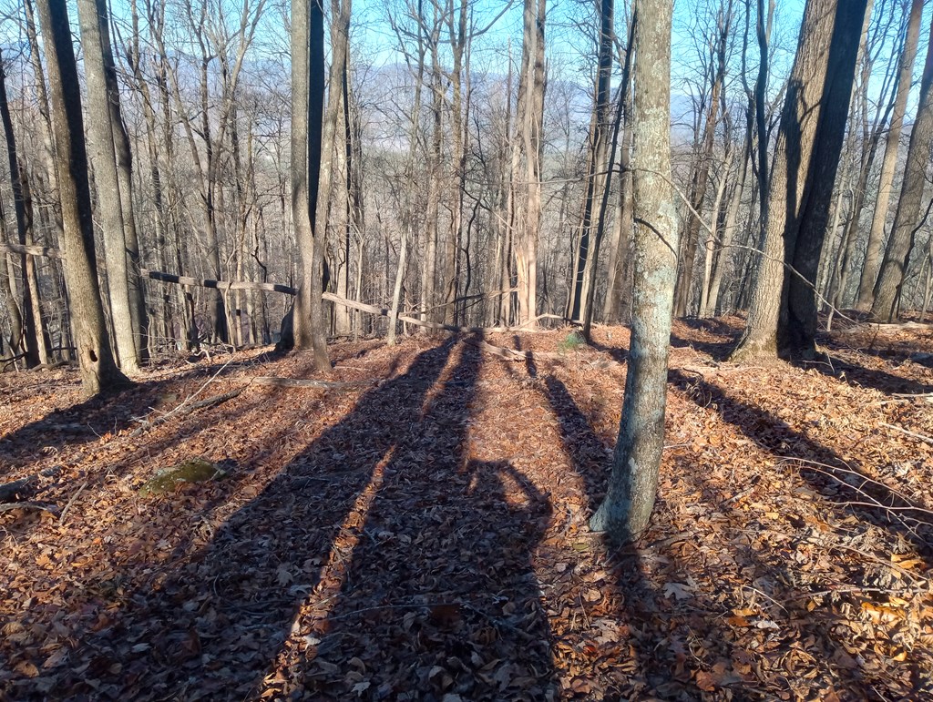 LT M214 Walnut Ridge