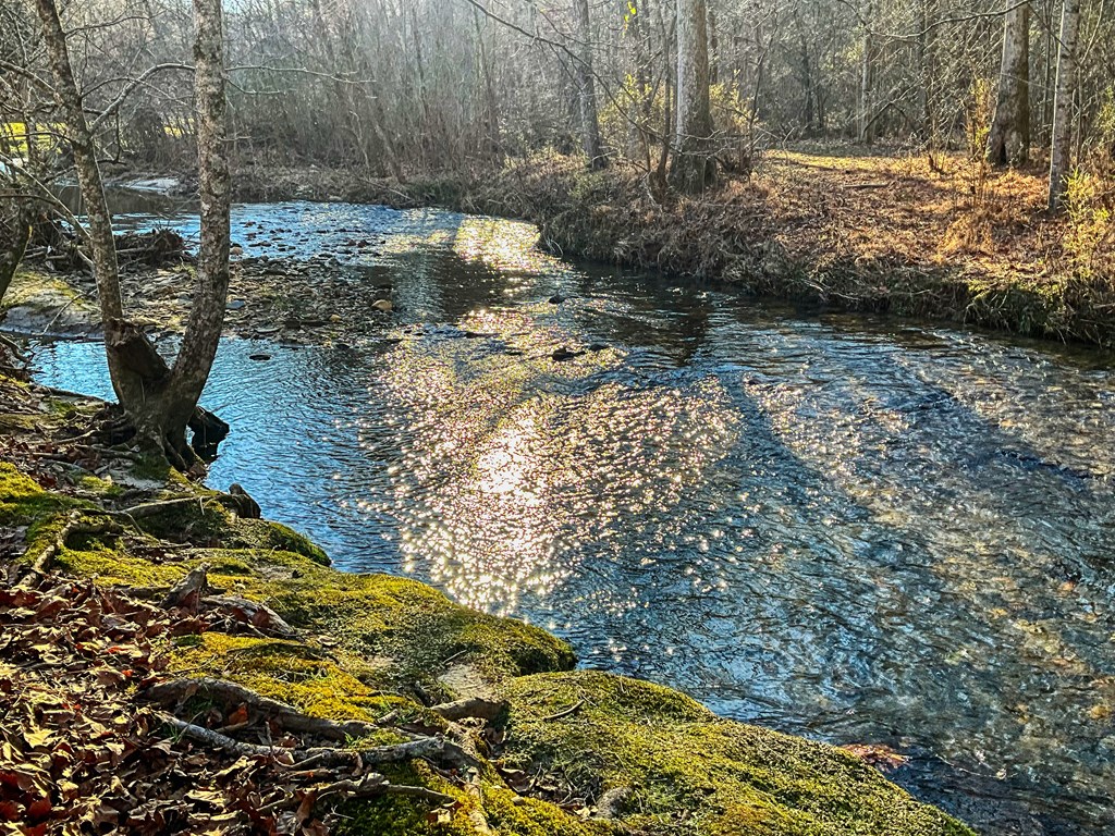 188 Clear Creek Valley Drive