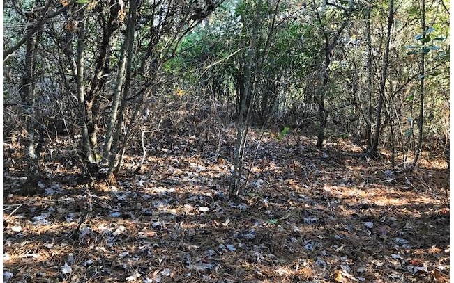 19D&E Braves Landing