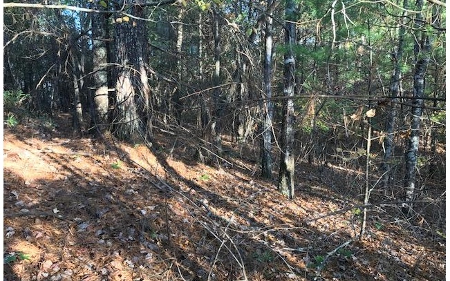 19D&E Braves Landing