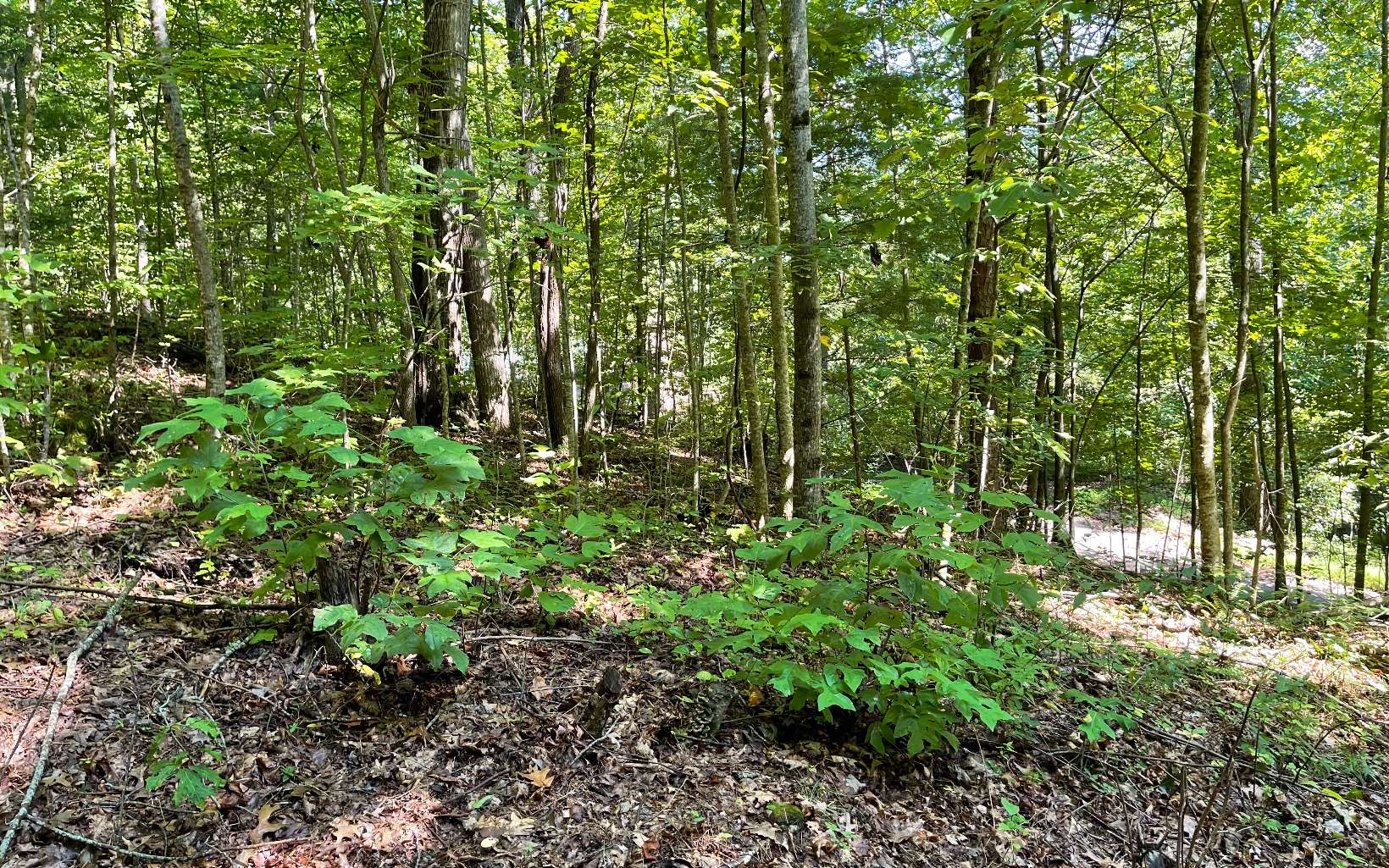 Lot 8D Eagle Heights