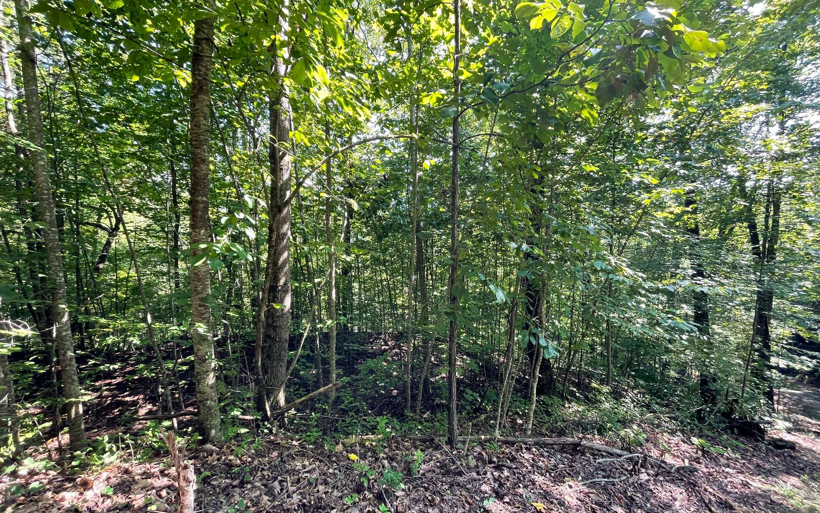 Lot 8D Eagle Heights