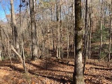 Lot 260 Catawba Circle Ellijay GA 30540