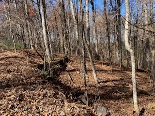 Lot 260 Catawba Circle