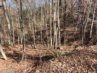 Lot 260 Catawba Circle
