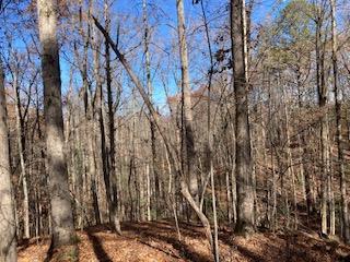 Lot 260 Catawba Circle