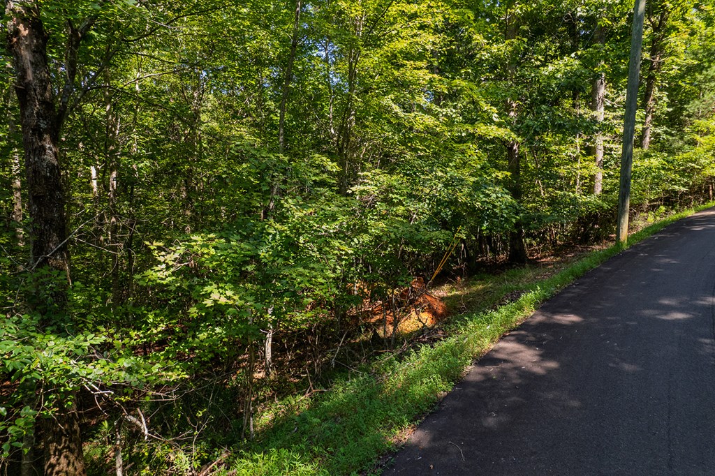 Lot 1164 Spalding Circle