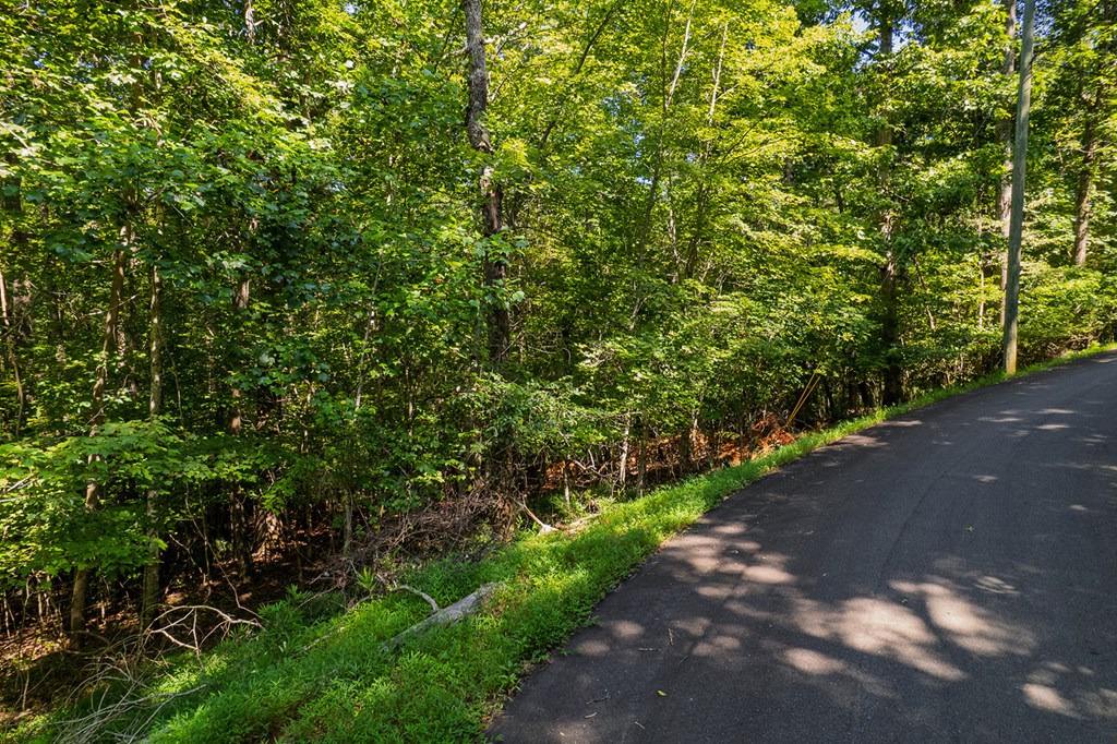 Lot 1164 Spalding Circle