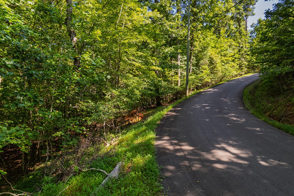 Lot 1164 Spalding Circle