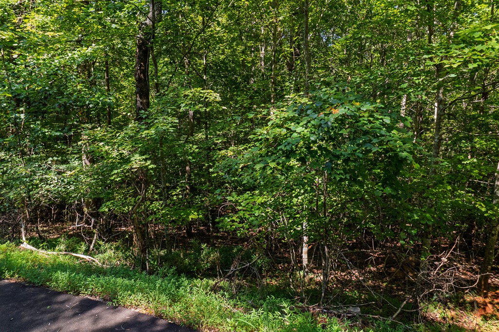 Lot 1164 Spalding Circle