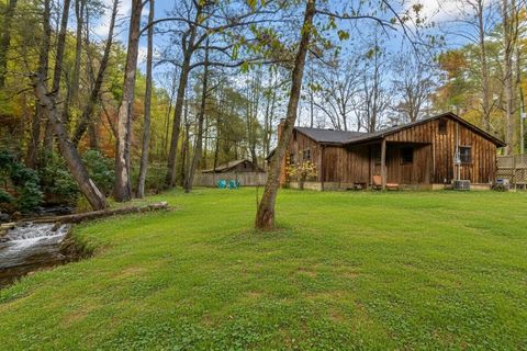 60 Bailey Creek Drive Blue Ridge GA 30513
