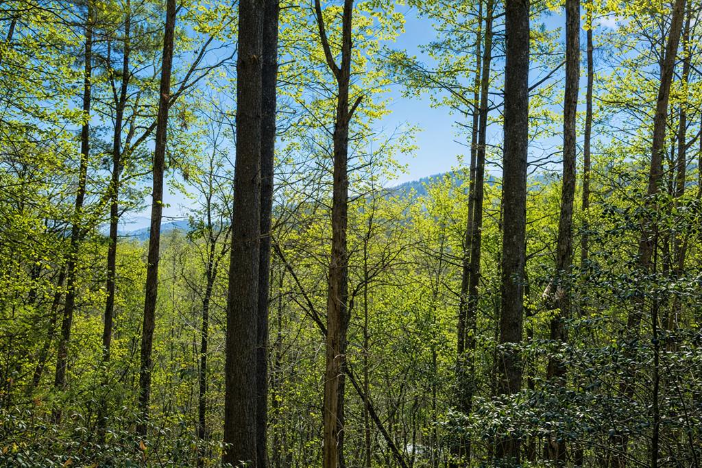 396 Dover Falls Trail