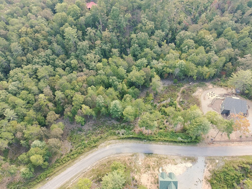 Lot 41 Mountain Laurel Ridge