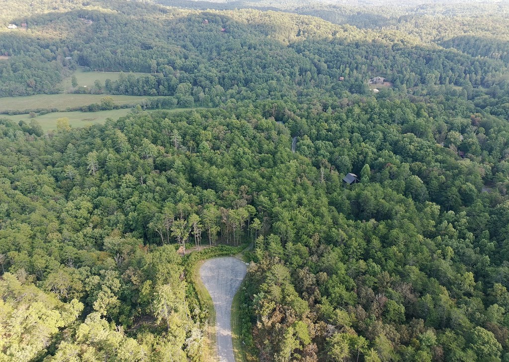 Lot 41 Mountain Laurel Ridge
