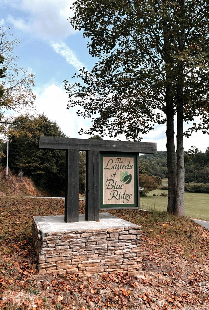 Lot 41 Mountain Laurel Ridge