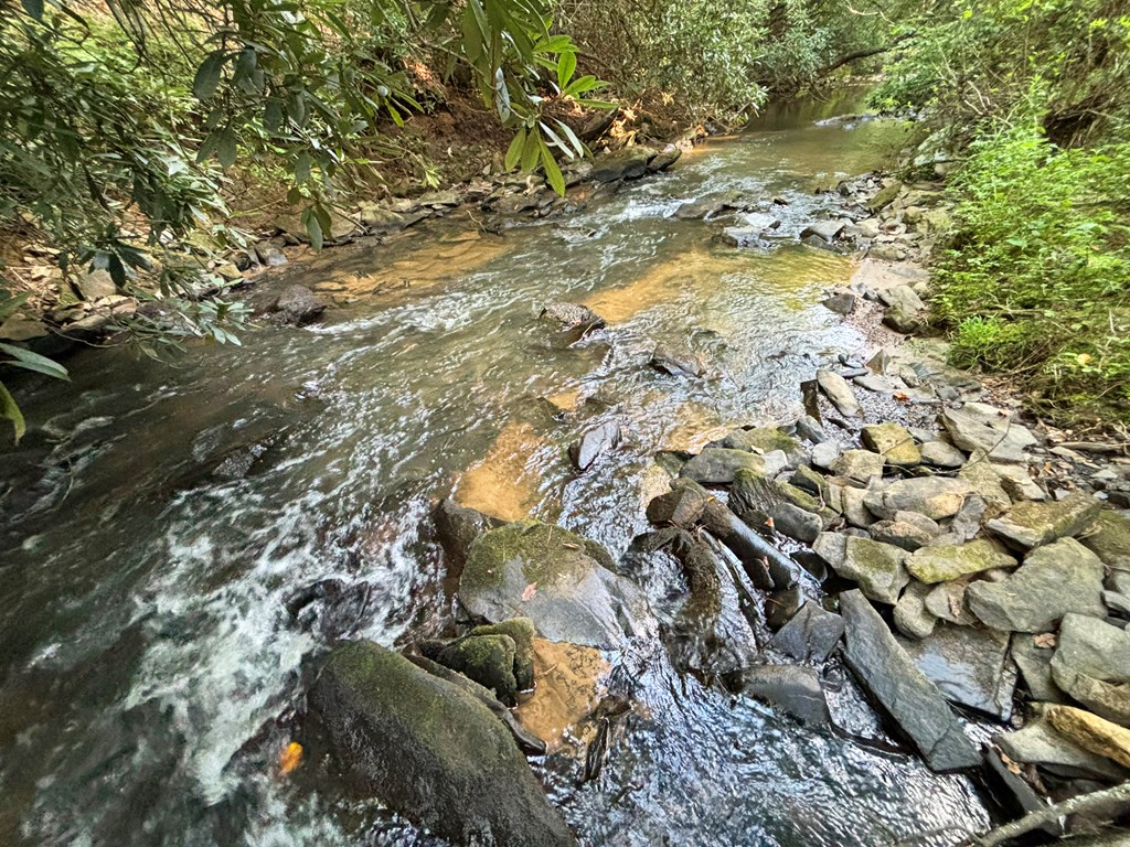 Lot 6 Mt. Springer Road