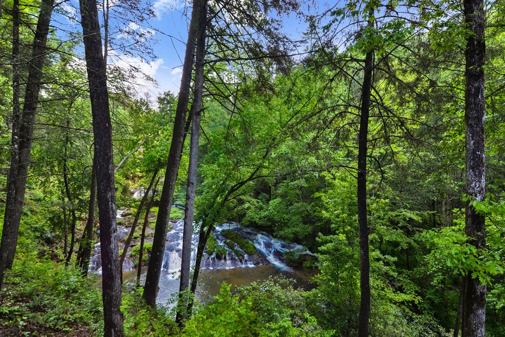 270 Watersong Trail