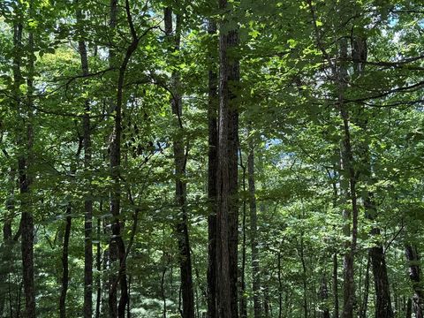 AC Weaver Creek Road Blue Ridge GA 30513