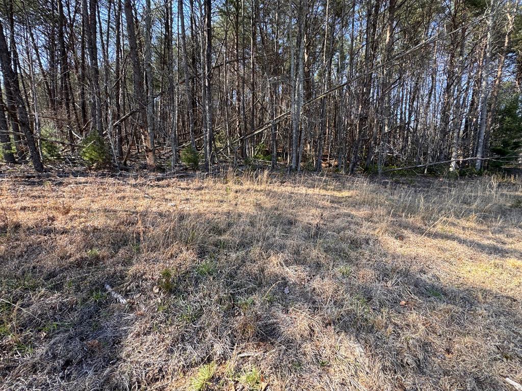 17 AC Weaver Creek Road