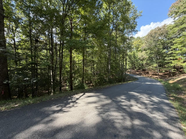LOT 556 Satsuma Court