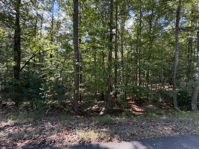 LOT 556 Satsuma Court