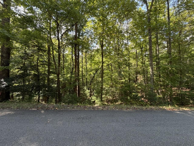 LOT 556 Satsuma Court