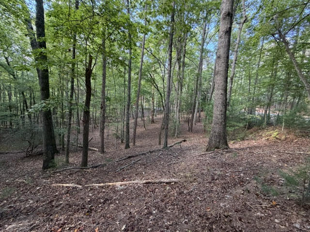LOT 556 Satsuma Court