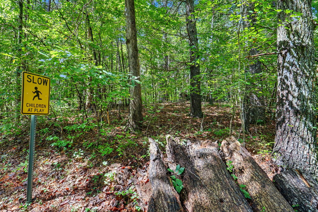 Lot 73 Pinecrest