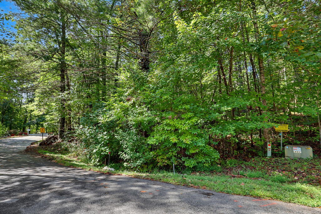Lot 73 Pinecrest