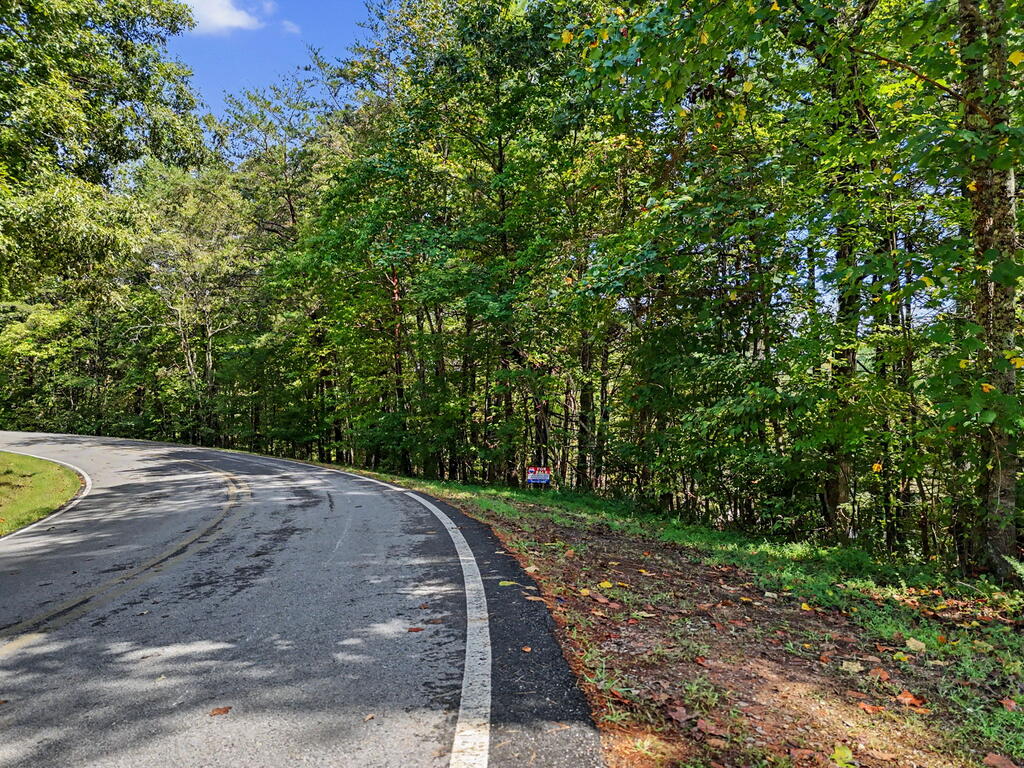 Lot 73 Pinecrest
