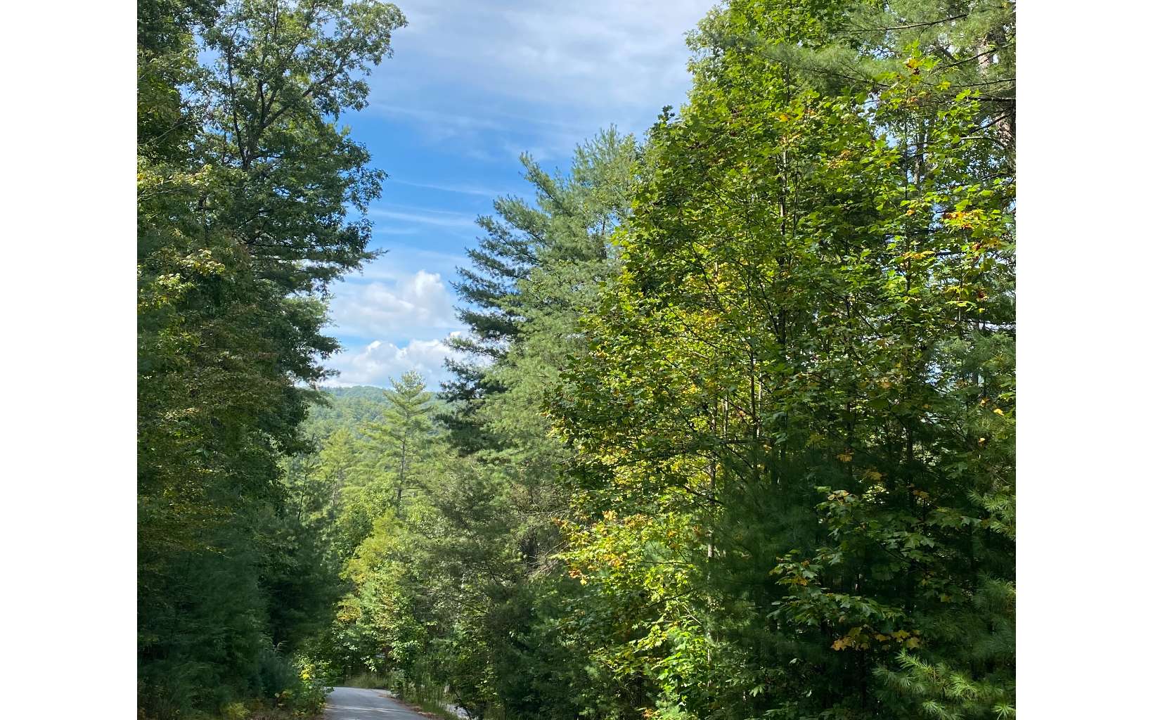 Lot 58 Gobblers Knob