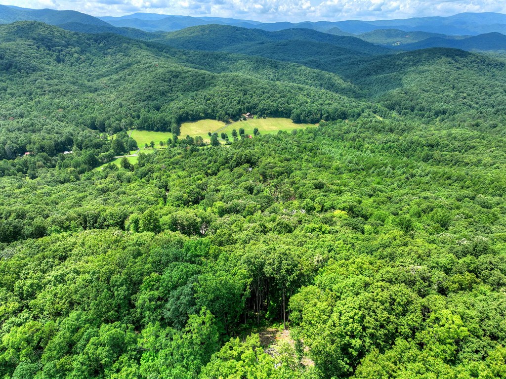 Lot 12 The Heights