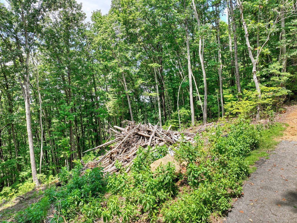 Lot 12 The Heights