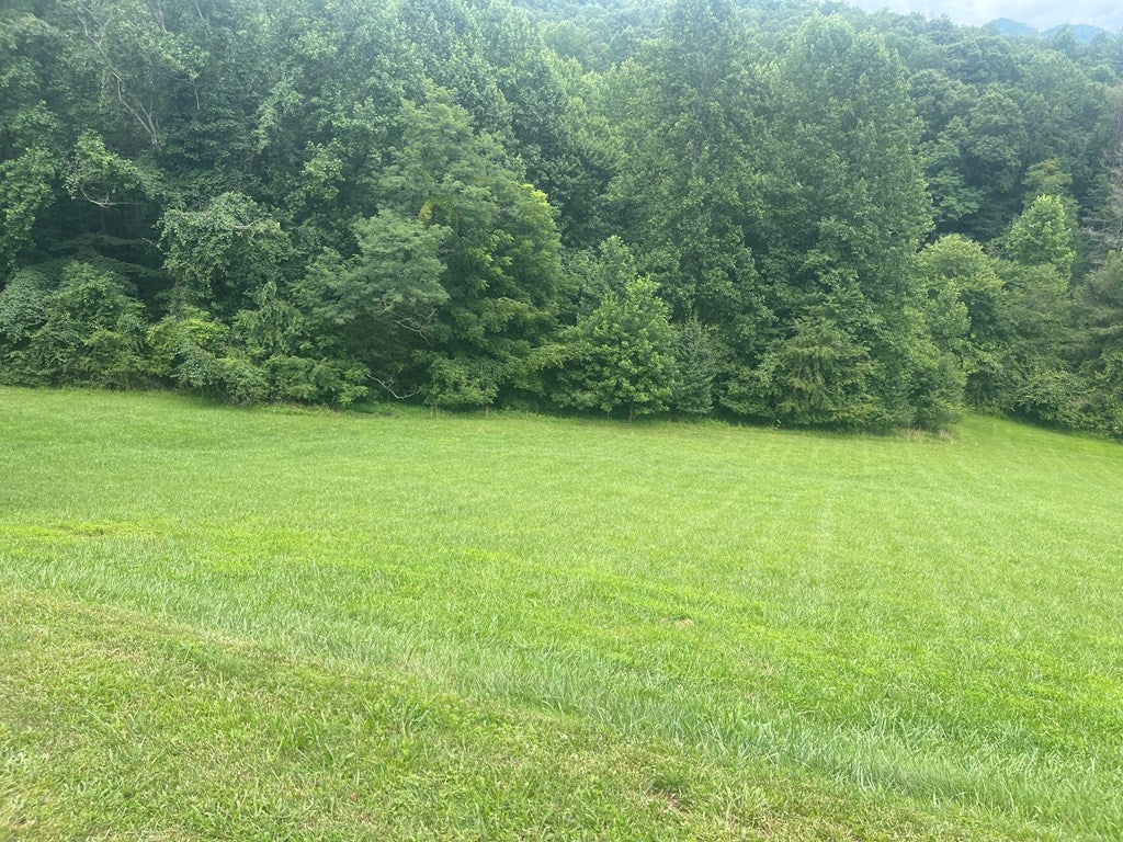 Lot 22C Ash Branch Circle