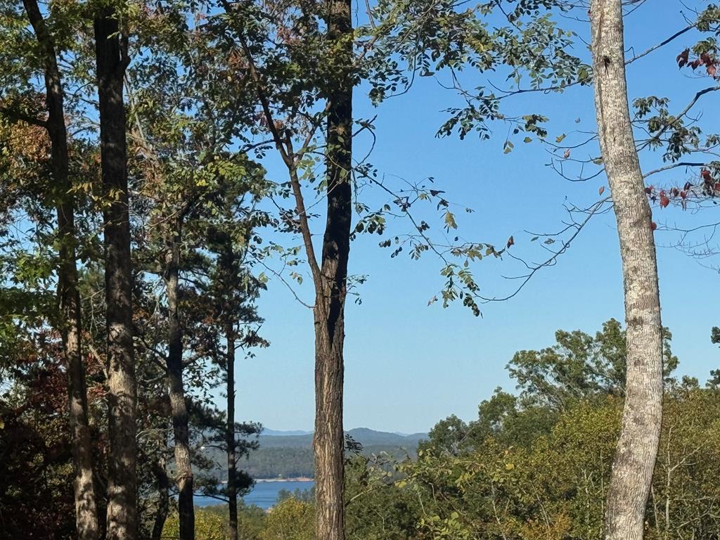 120 Green Ridge Road