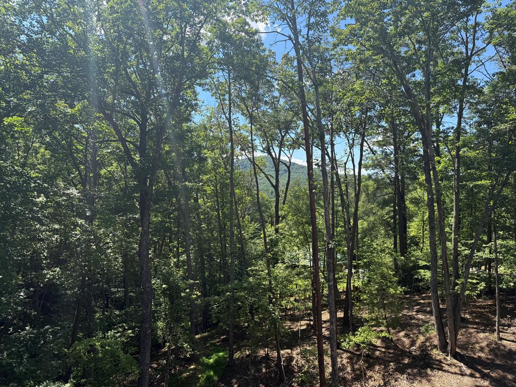 120 Green Ridge Road