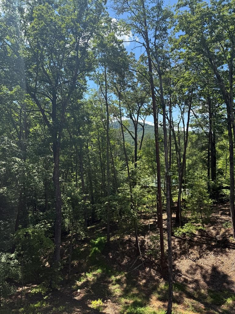 120 Green Ridge Road