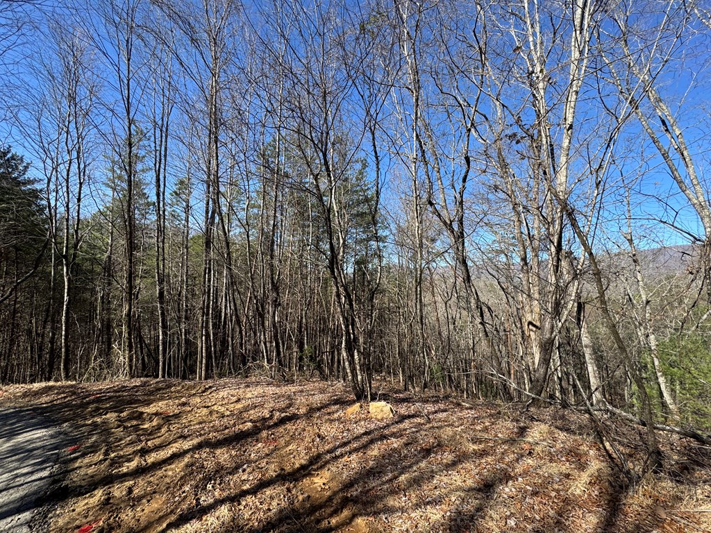 Trac I 2 Crockett Mountain Lane