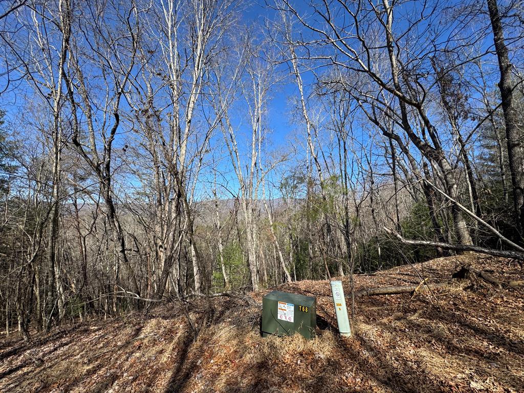 Trac I 2 Crockett Mountain Lane